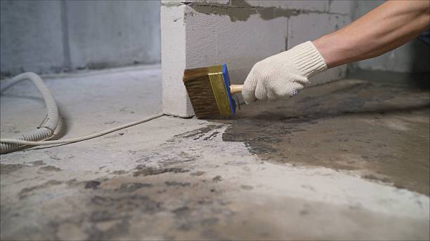 Top rated local Wet Basement Repair specialists in Partridge, KS